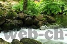 利物浦与曼联足球比分-英超双红会，利物浦与曼联的世纪对决，比分背后的战术博弈与情感碰撞