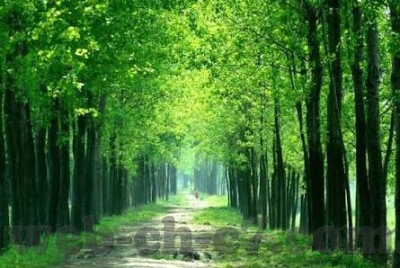 预测足球比分的方法-精准预测足球比分，解锁科学方法与实践策略
