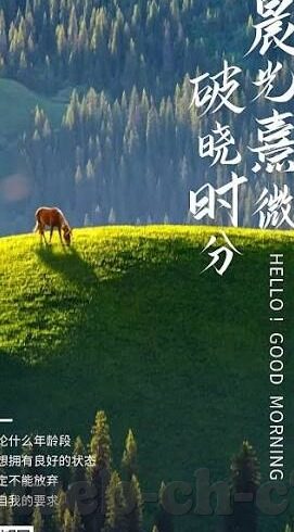 足球比分250-从足球比分250看足球数据革命，当数字游戏颠覆传统认知