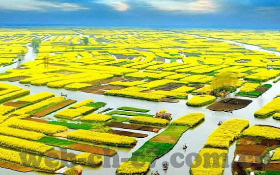 足球比分兑奖期-足球比分兑奖期，规则、流程与注意事项全解析